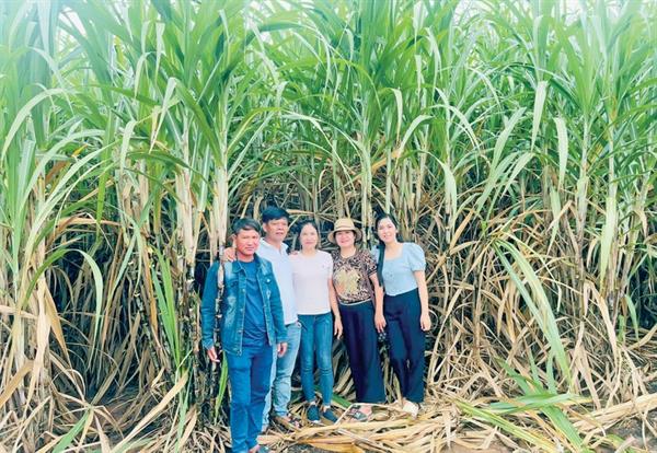 Bà Lê Thị Quỳnh Trang (bìa phải) cùng các thành viên Hợp tác xã Nông nghiệp Tân Tiến bên ruộng mía (ảnh nhân vật cung cấp).