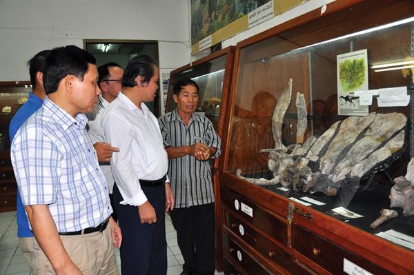 Thăm Bảo tàng khủng long ở Savannakhet: Đứng thật gần để nhìn thật xa
