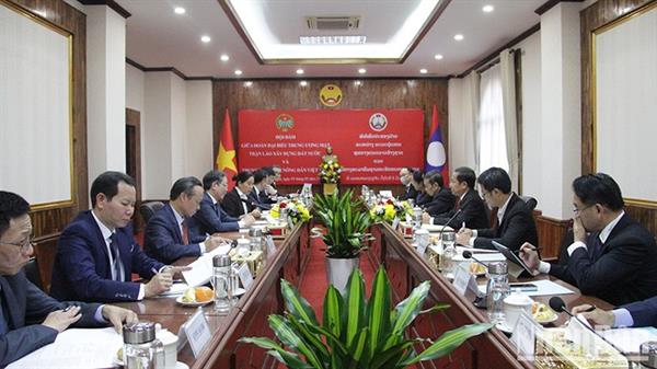 Đoàn đại biểu Hội Nông dân Việt Nam thăm và làm việc tại Lào ảnh 1