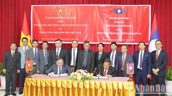 Đoàn đại biểu Hội Nông dân Việt Nam thăm và làm việc tại Lào ảnh 2