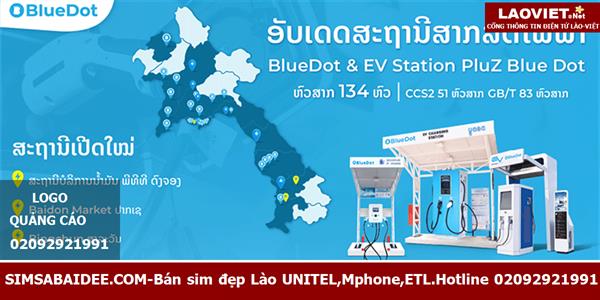BlueDot EV charging network map